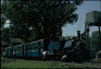 The toy train, Siliguri